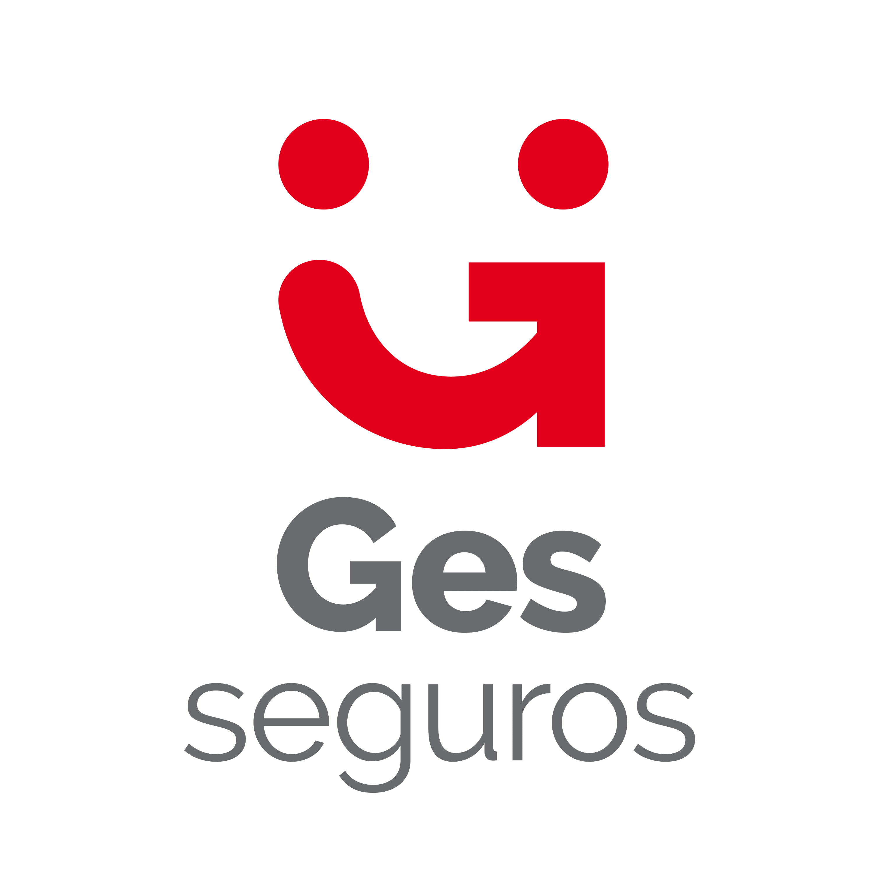 GES SEGUROS Y REASEGUROS S.A.
