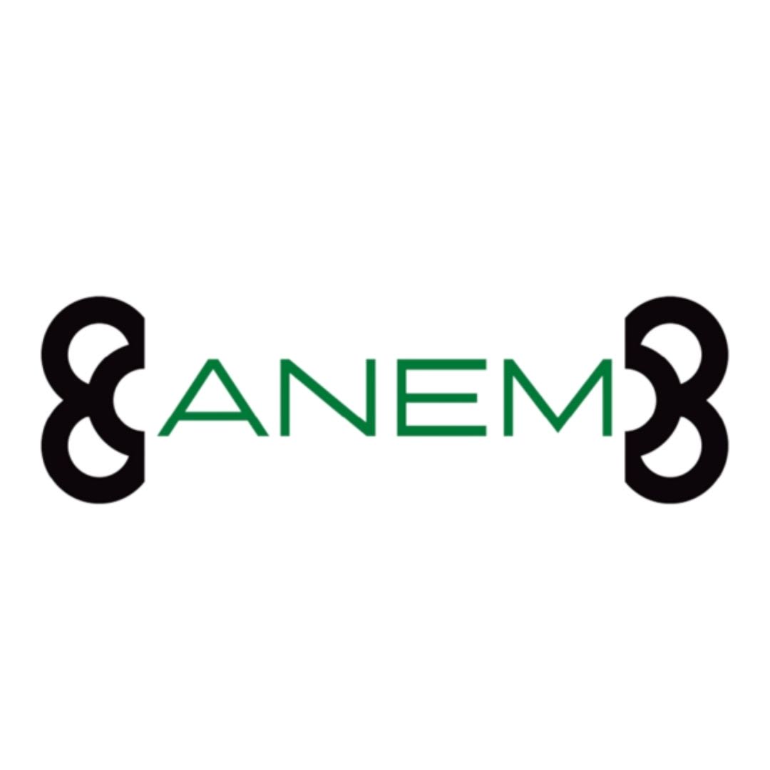 Anem Advanced Logistics SL
