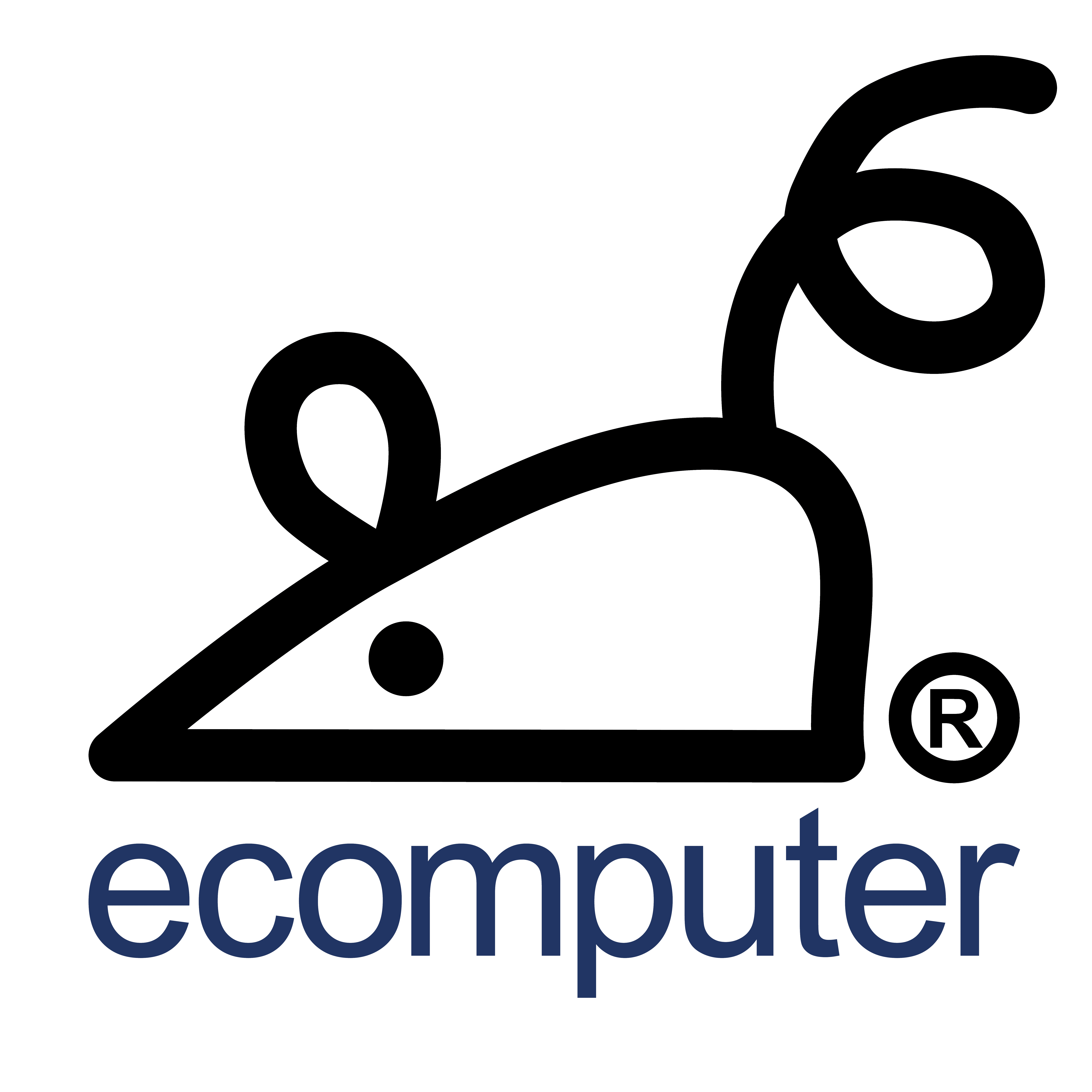 Ecomputer