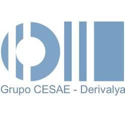 DERIVALYA FORMACION  Y CONSULTORIA EMPRESARIAL SL.