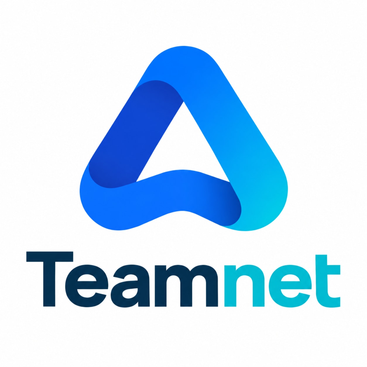 TEAMNET SL