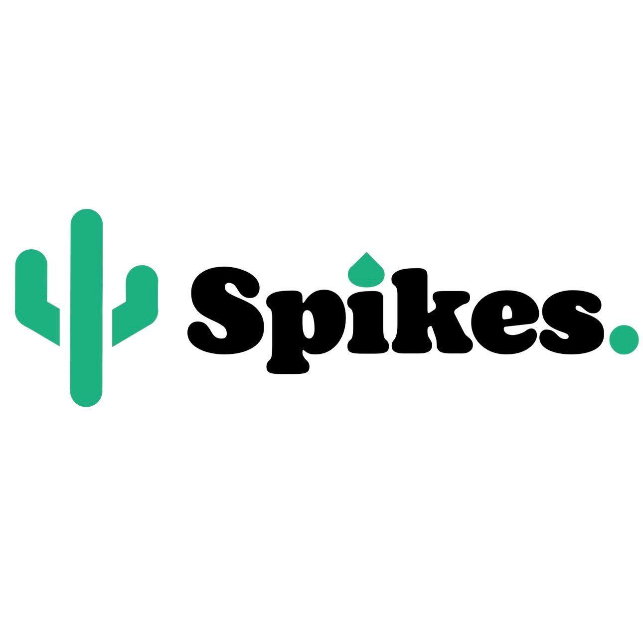 SPIKES 2025 SOCIEDAD LIMITADA.