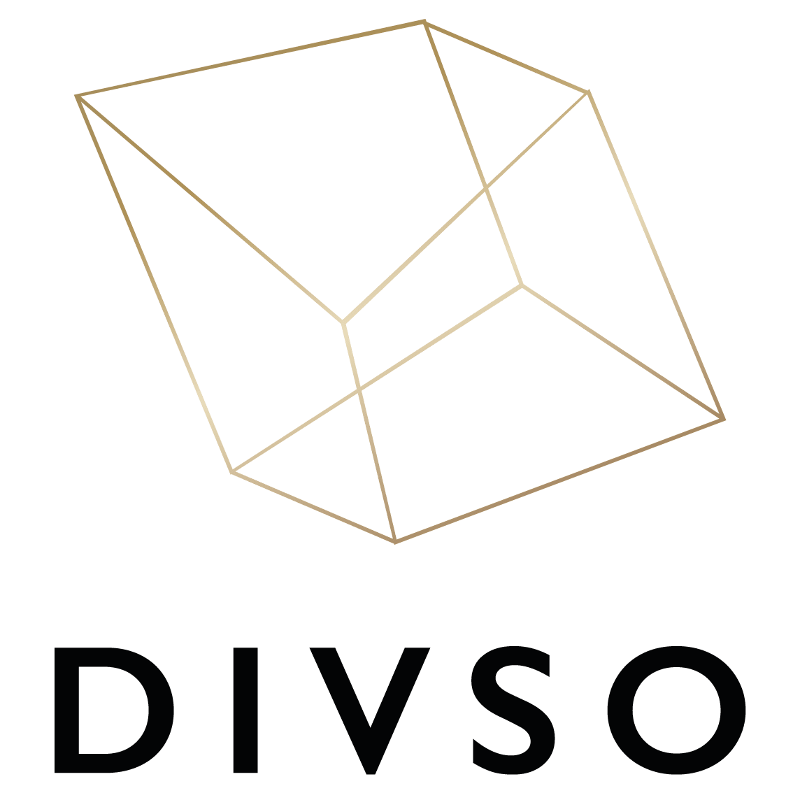 DIVERGENT SOLUTIONS SL.