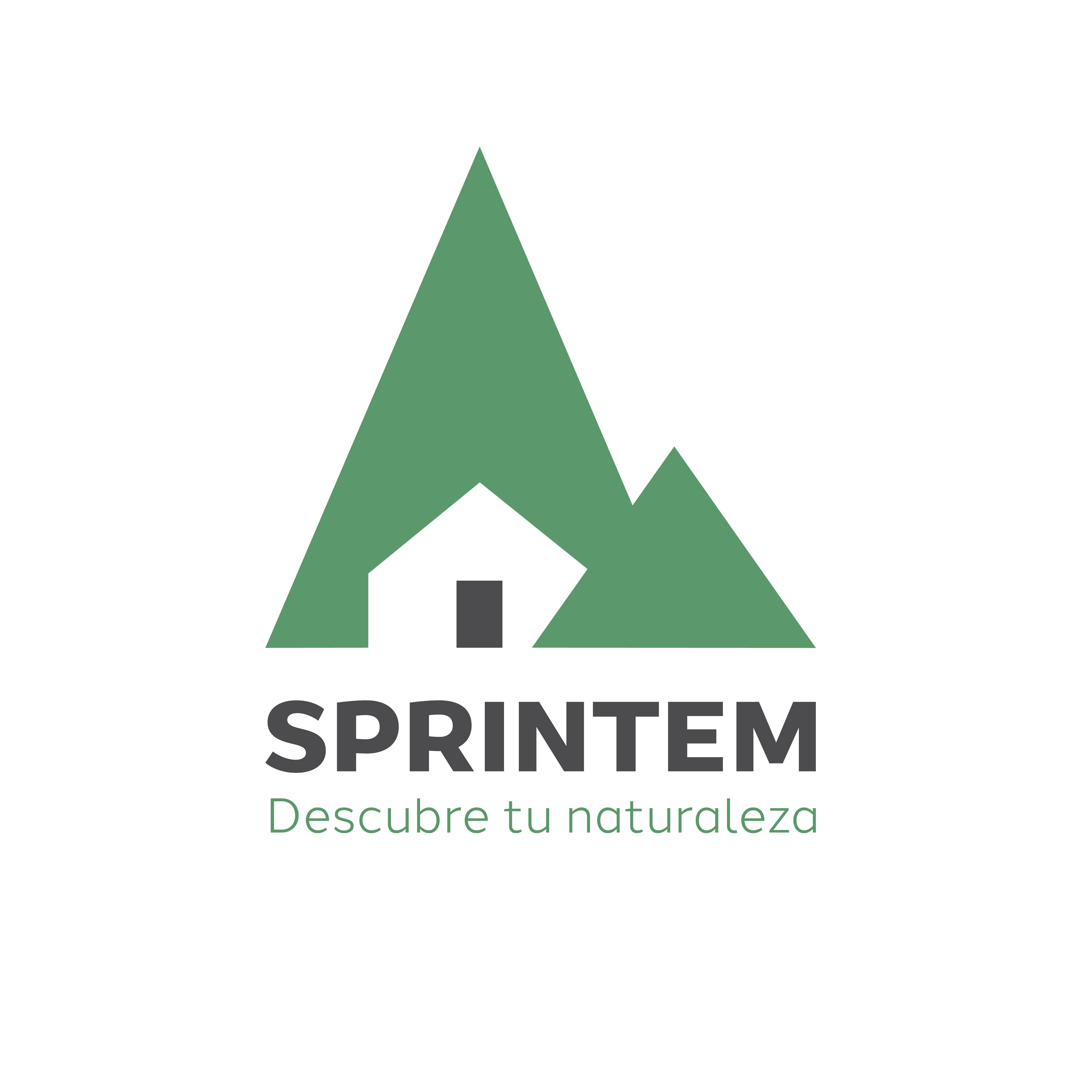 Sprintem