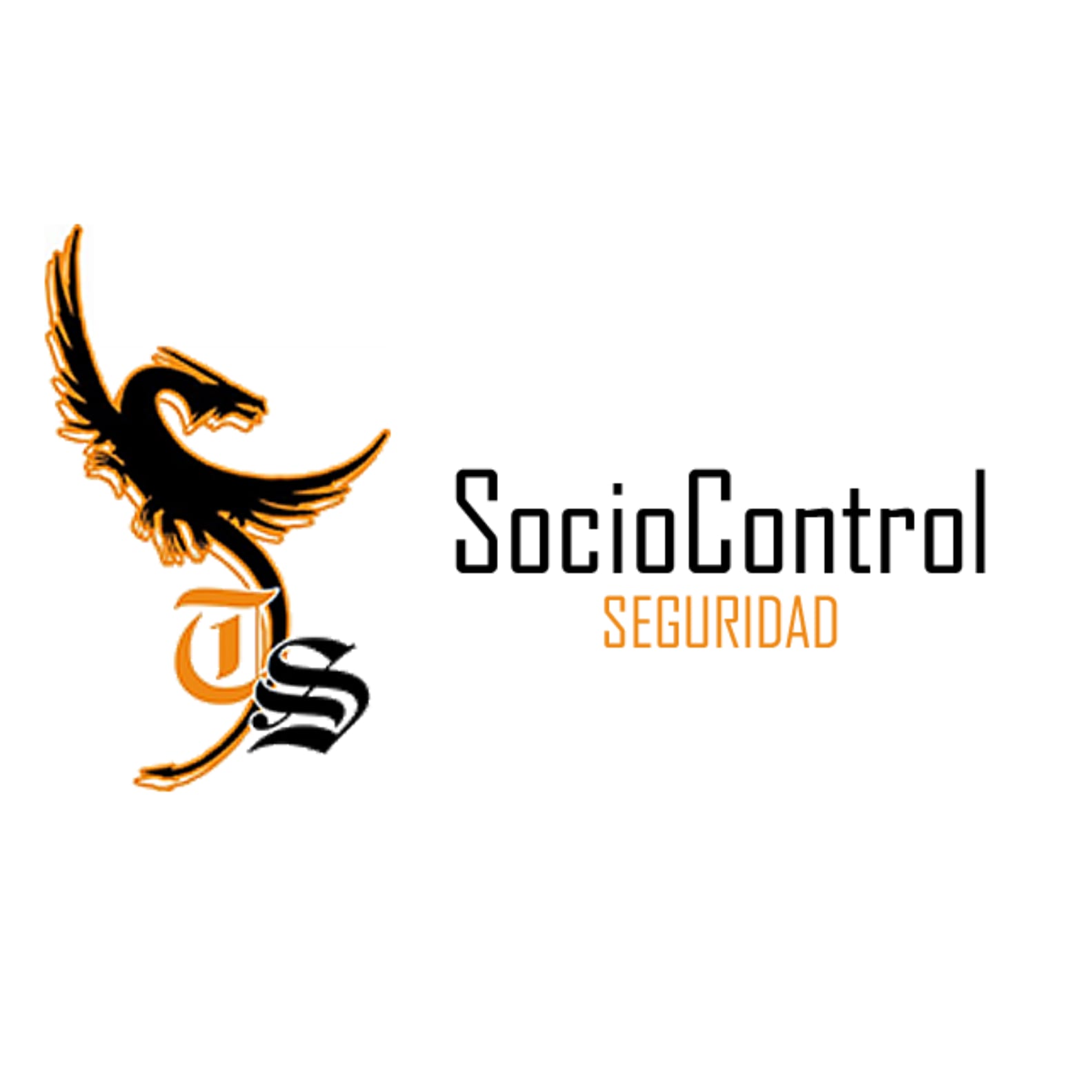 TENERIFE SOCIOCONTROL SEGURIDAD