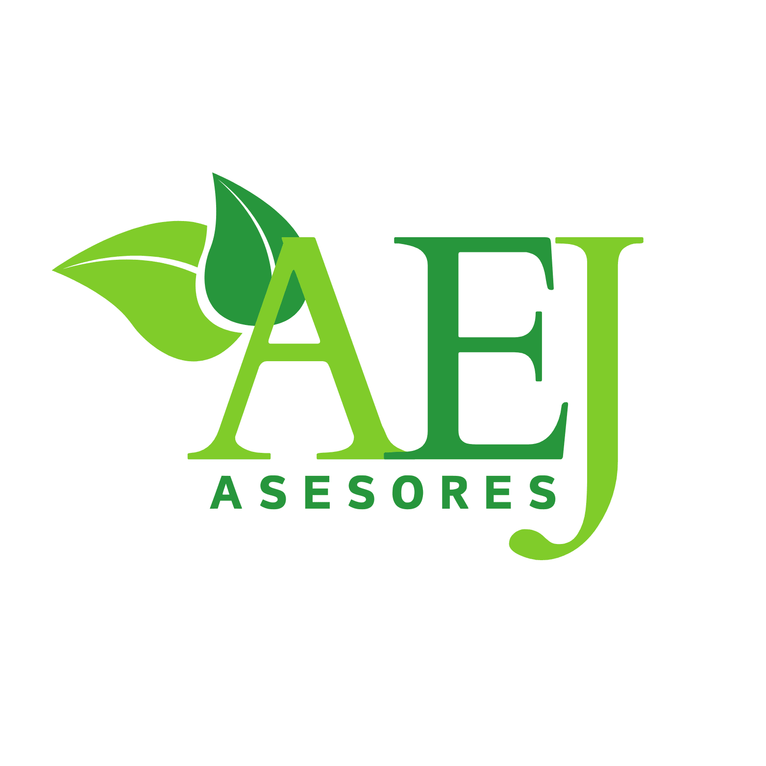 AEJ Asesores