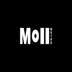 MOLL MOTORS SL