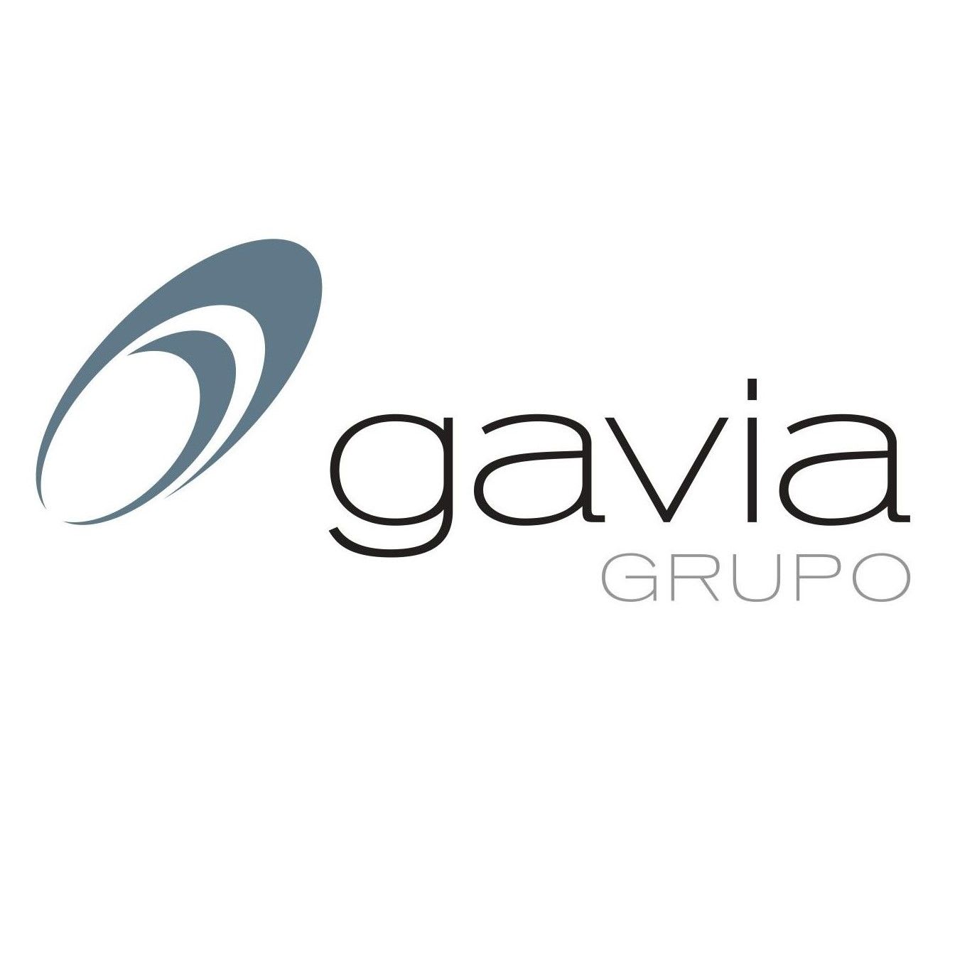 Grupo Gavia