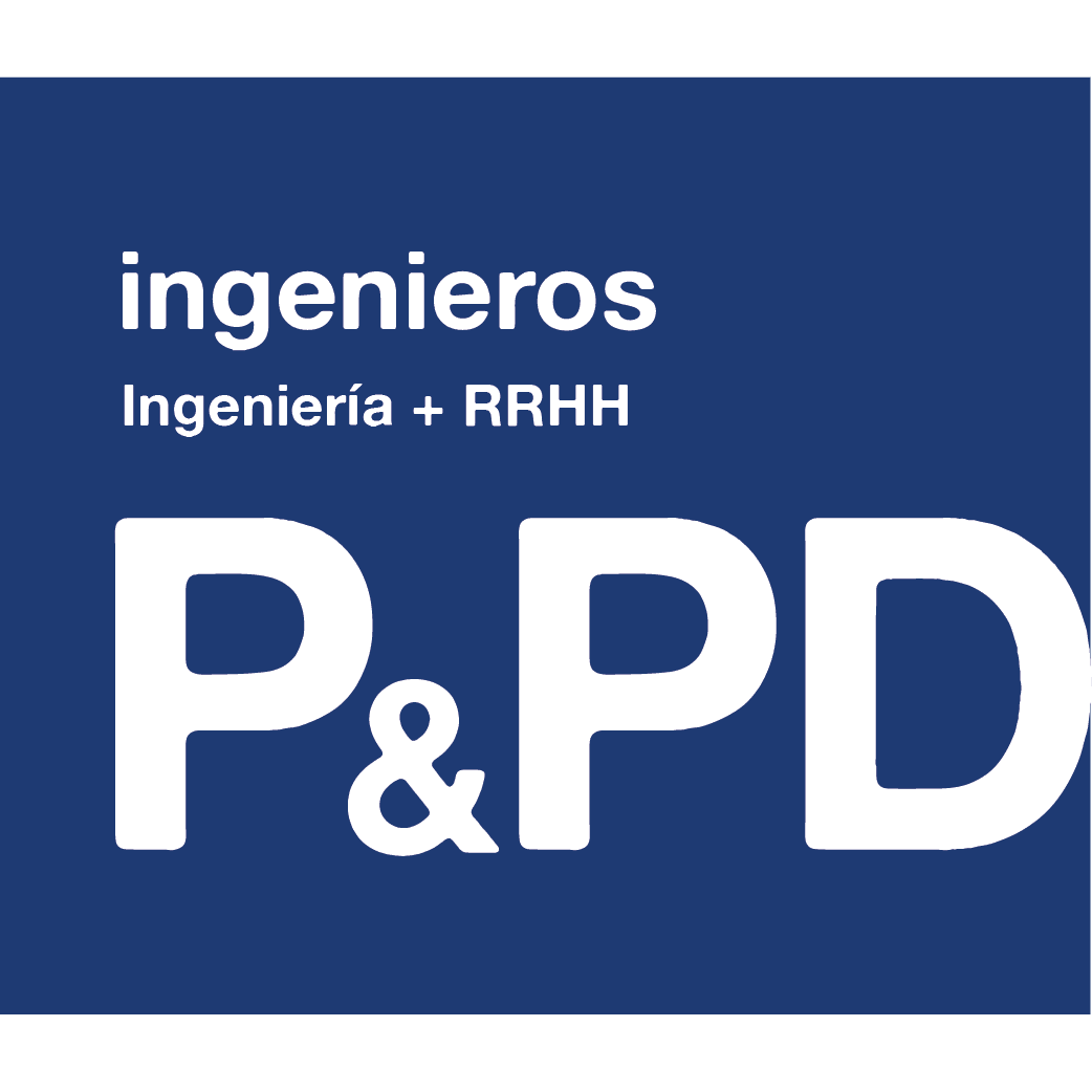 P&PD Ingenieros