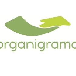 ORGANIGRAMA
