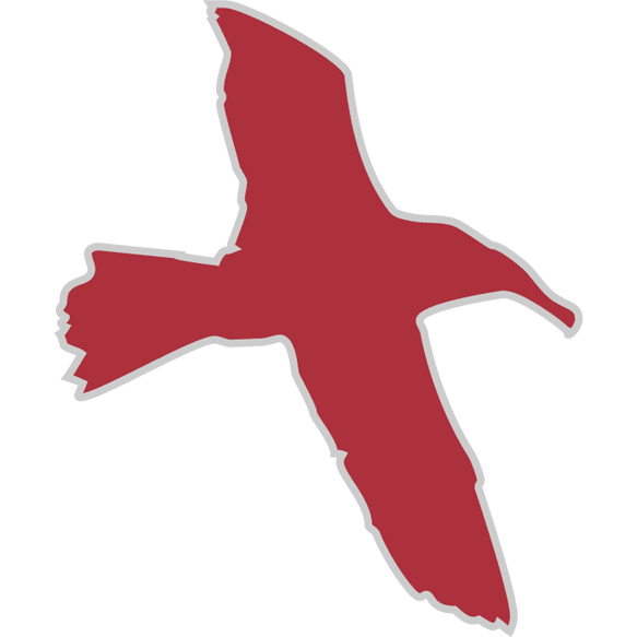 Grupo Albatros