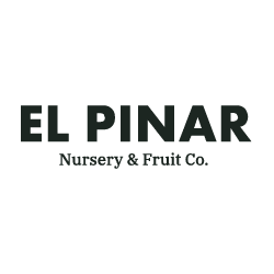 EL PINAR