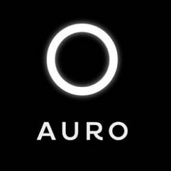 AURO NEW TRANSPORT CONCEPT SL.