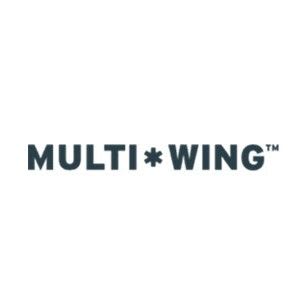 Multi-Wing