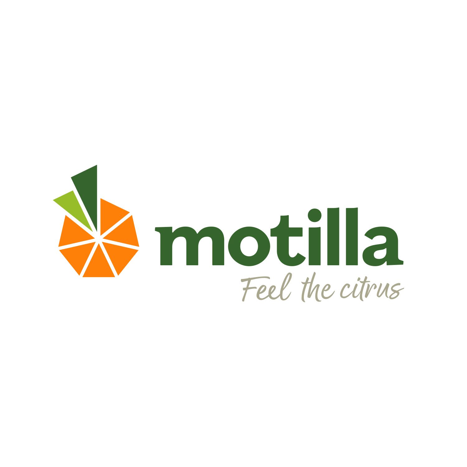 JUAN MOTILLA,SL