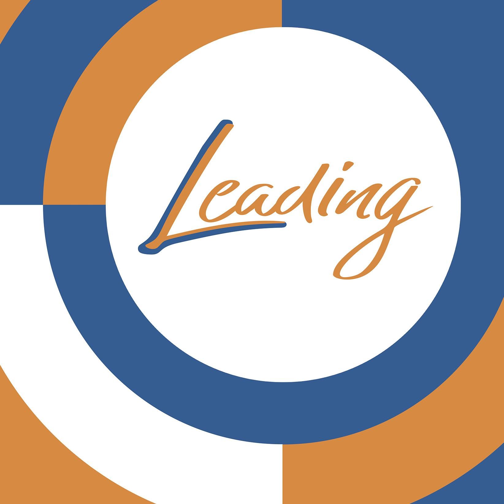 LEADING SOLUTIONS - Fuerza de Ventas Externa