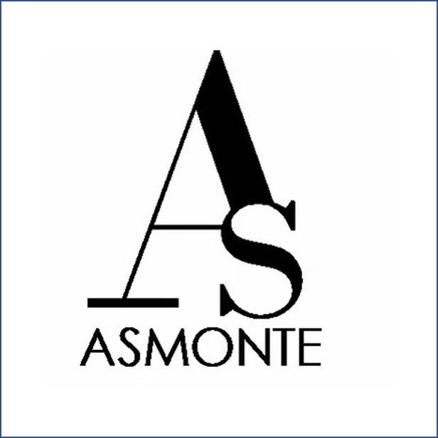 ASMONTE ASOCIADOS SL.