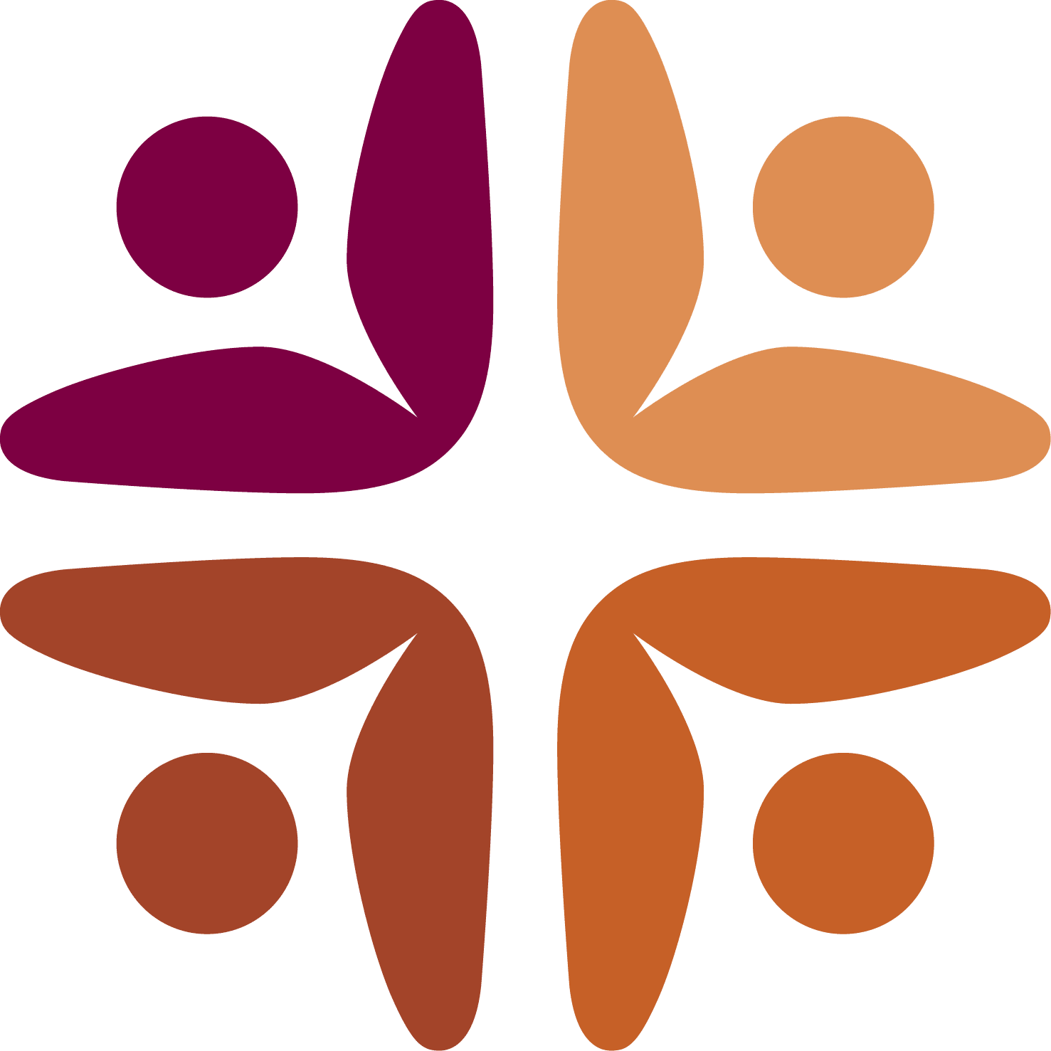 FUNDACION SUMMA HUMANITATE