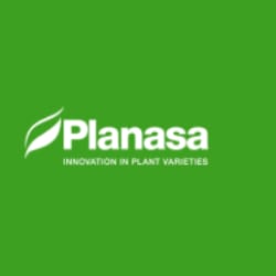 PLANASA