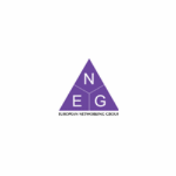 The European Networking Group Spain