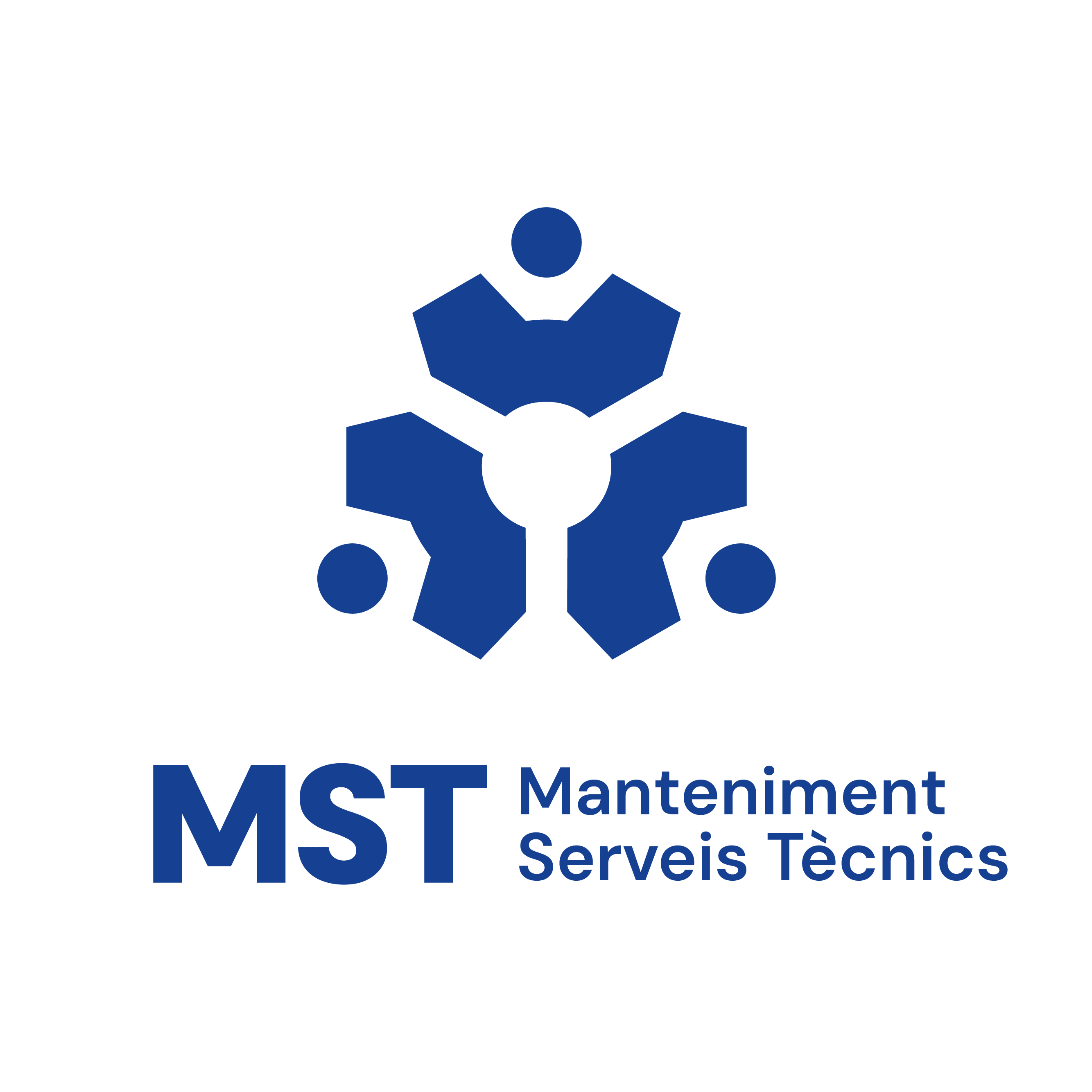 MST RIELLS S.L