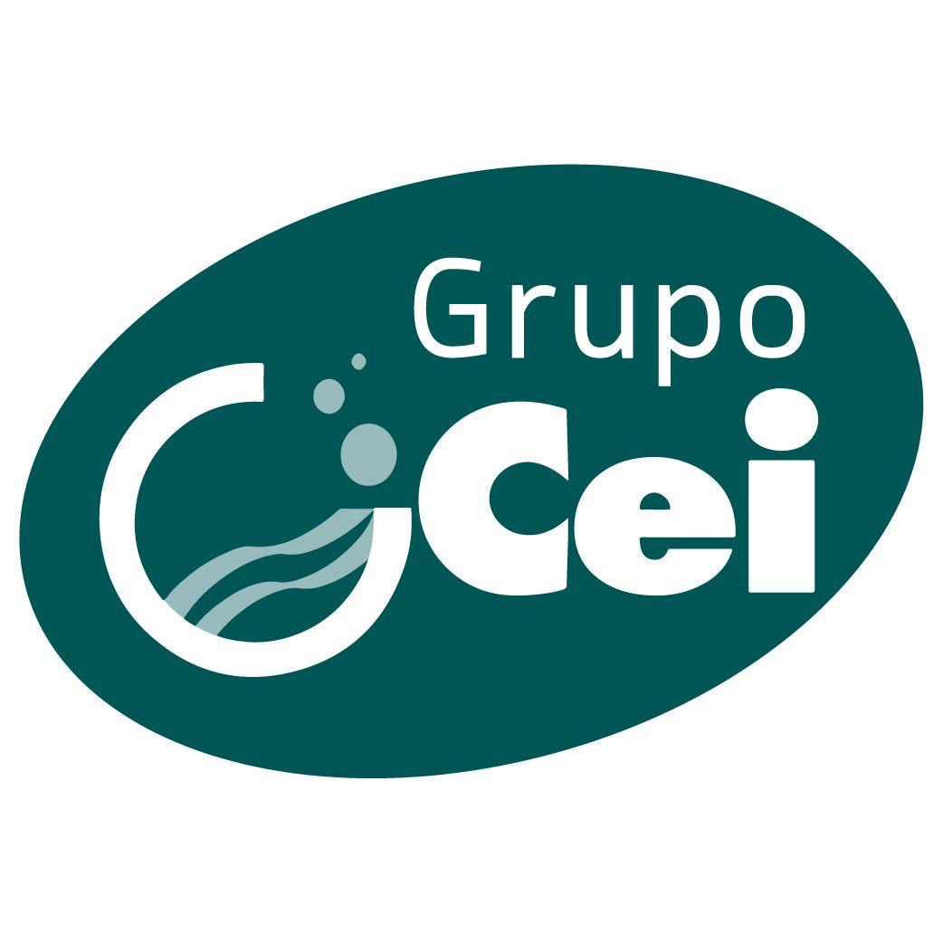 GRUPO CEI