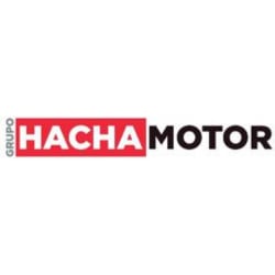 GRUPO HACHA MOTOR