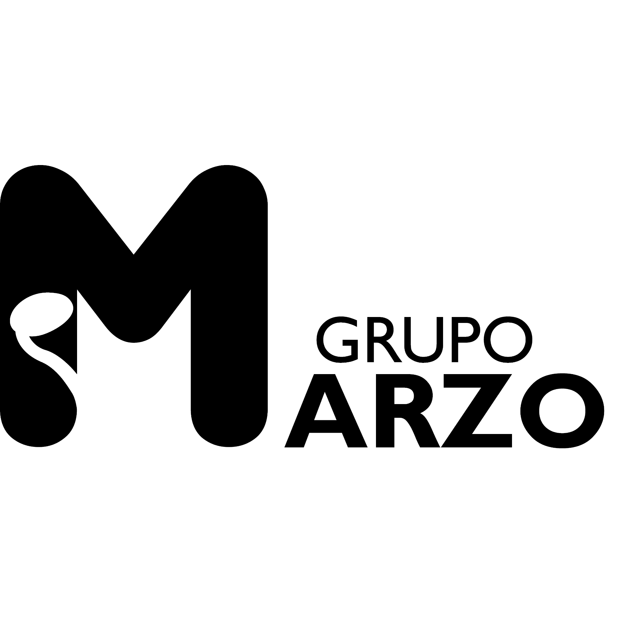 GRUPO MARZO PROFESSIONAL SERVICES