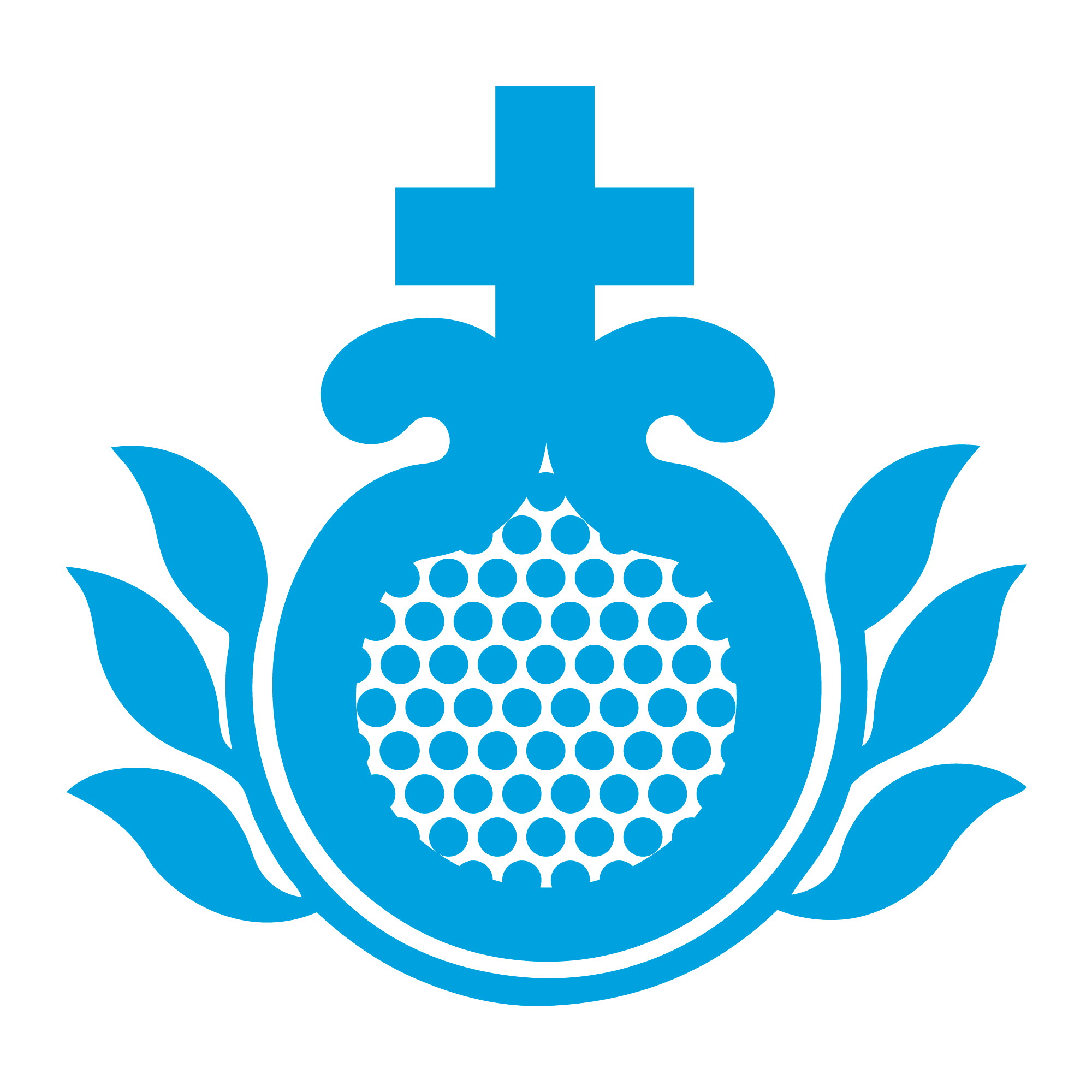 HOSPITAL SAN JUAN DE DIOS BURGOS