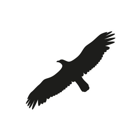ALMA CARRAOVEJAS SL
