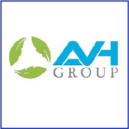 AVH Group