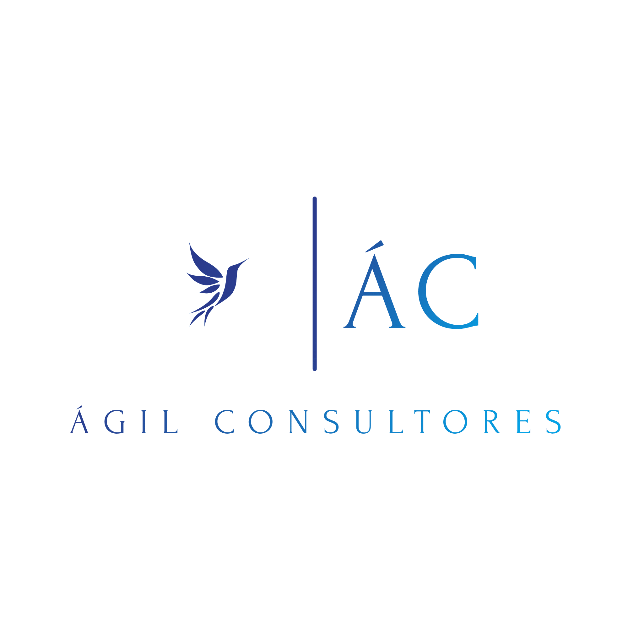 Agíl Consultores