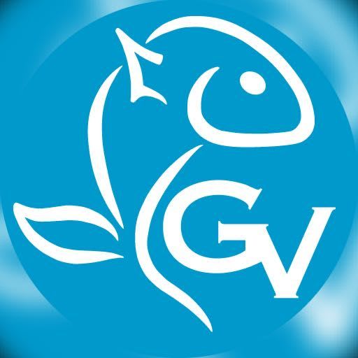 GRUPO VIDELA