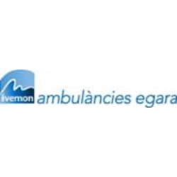 IVEMON SERVICIOS SANITARIOS S.L.