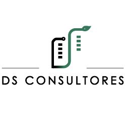 DS CONSULTORES