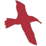 Grupo Albatros - Ofertas de trabajo