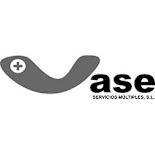VAN SERVICIOS MULTIPLES, S.L - Ofertas de trabajo