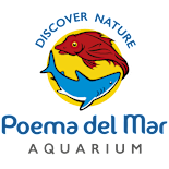 Poema del Mar - Ofertas de trabajo