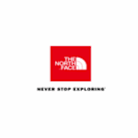 THE NORTH FACE - Ofertas de trabajo