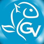 GRUPO VIDELA - Ofertas de trabajo